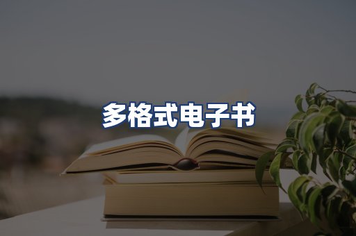 多格式电子书